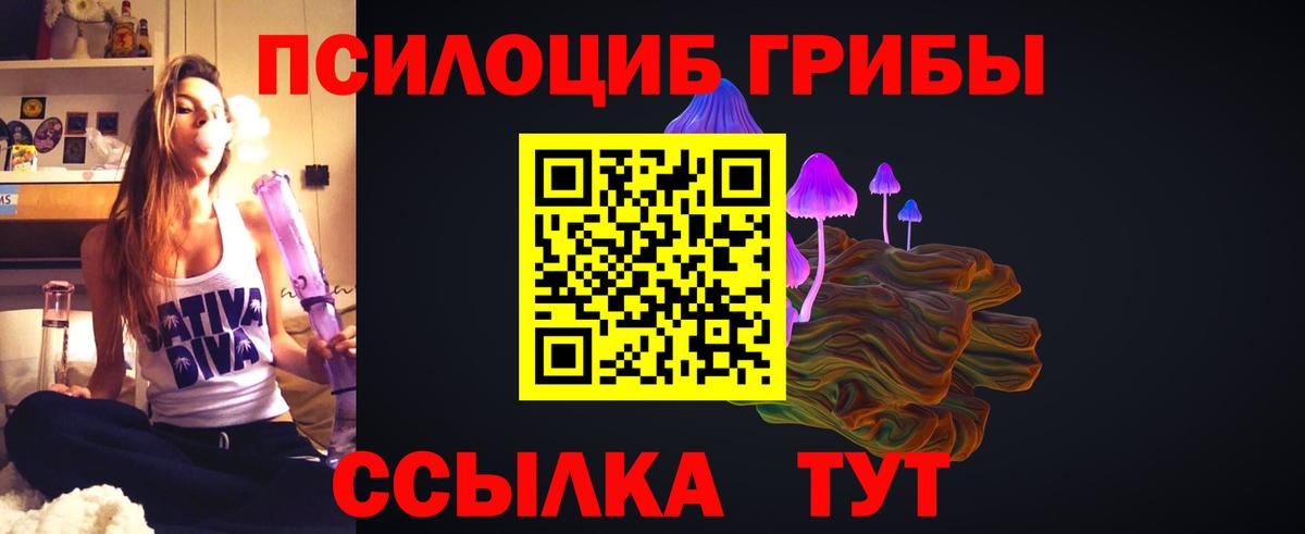 Галлюциногенные грибы Psilocybine cubensis Лениногорск